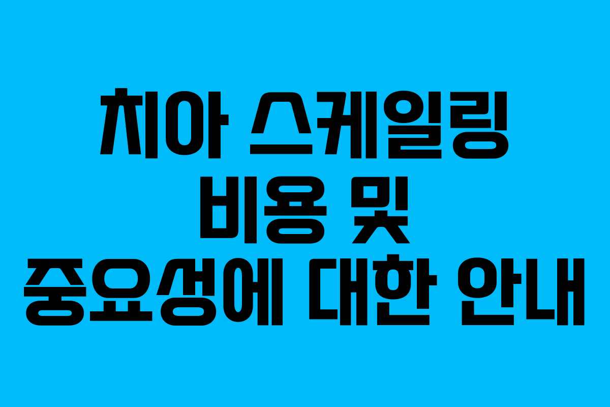 치아 스케일링 비용 및 중요성에 대한 안내