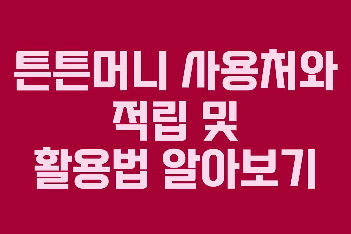 튼튼머니 사용처와 적립 및 활용법 알아보기