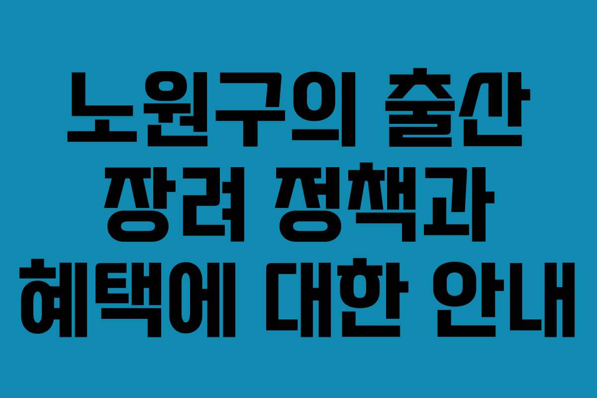 노원구의 출산 장려 정책과 혜택에 대한 안내