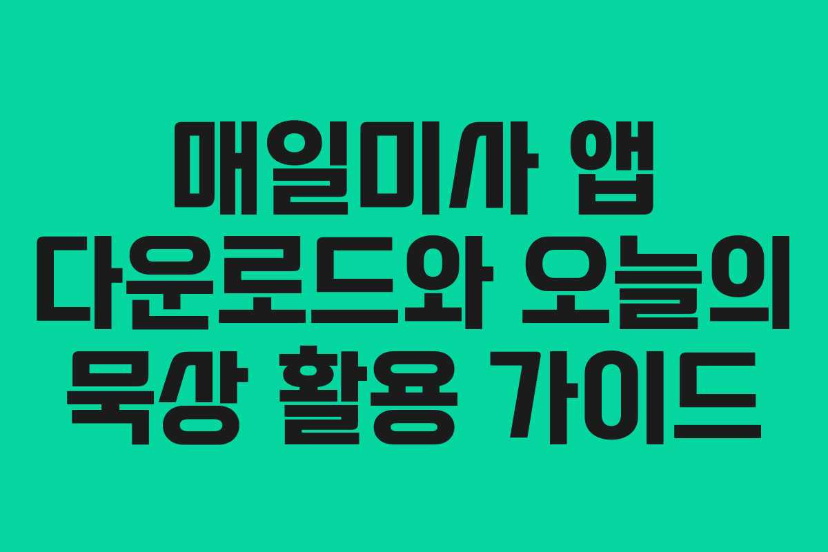매일미사 앱 다운로드와 오늘의 묵상 활용 가이드