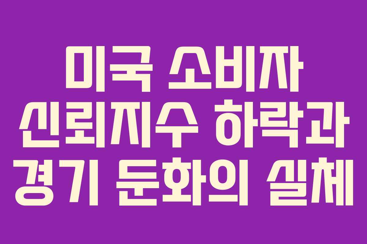 미국 소비자 신뢰지수 하락과 경기 둔화의 실체