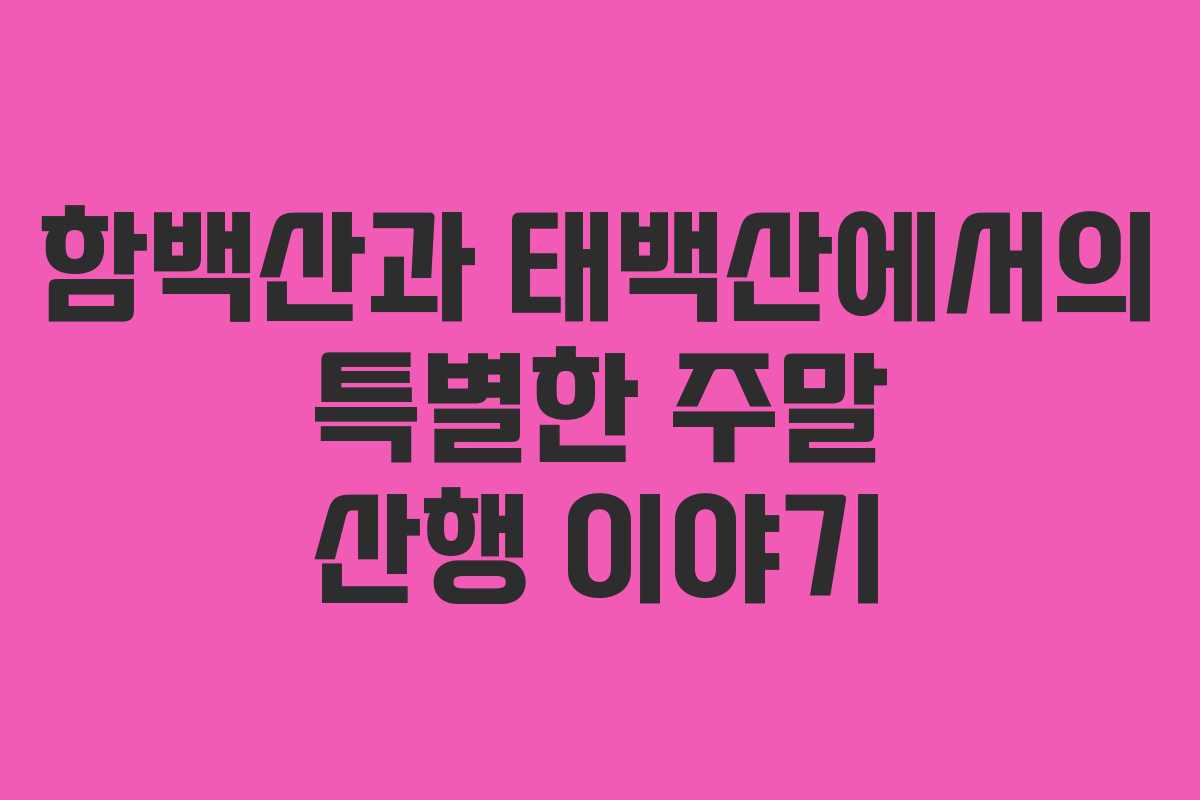 함백산과 태백산에서의 특별한 주말 산행 이야기