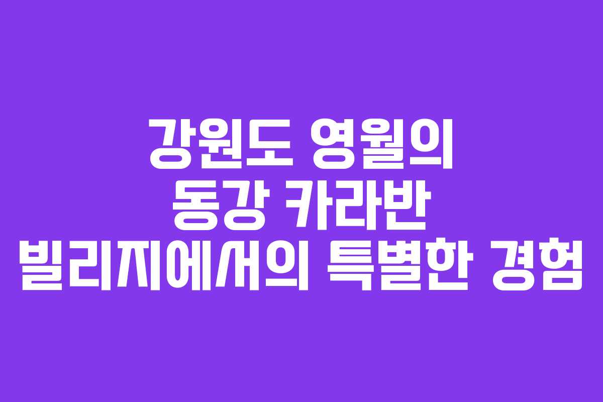 강원도 영월의 동강 카라반 빌리지에서의 특별한 경험