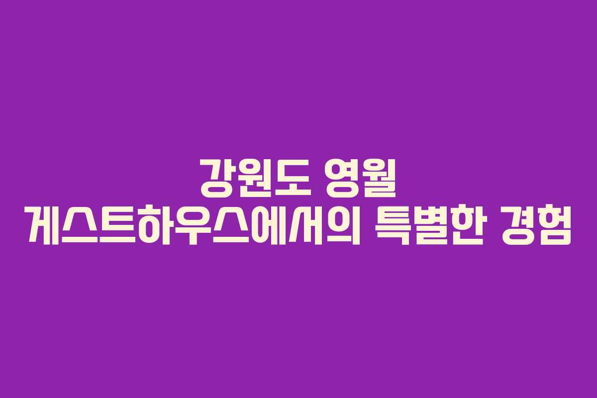 강원도 영월 게스트하우스에서의 특별한 경험