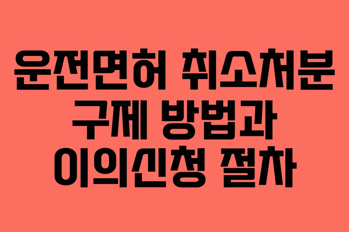 운전면허 취소처분 구제 방법과 이의신청 절차