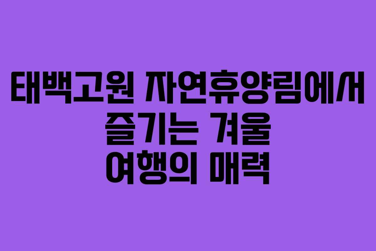 태백고원 자연휴양림에서 즐기는 겨울 여행의 매력