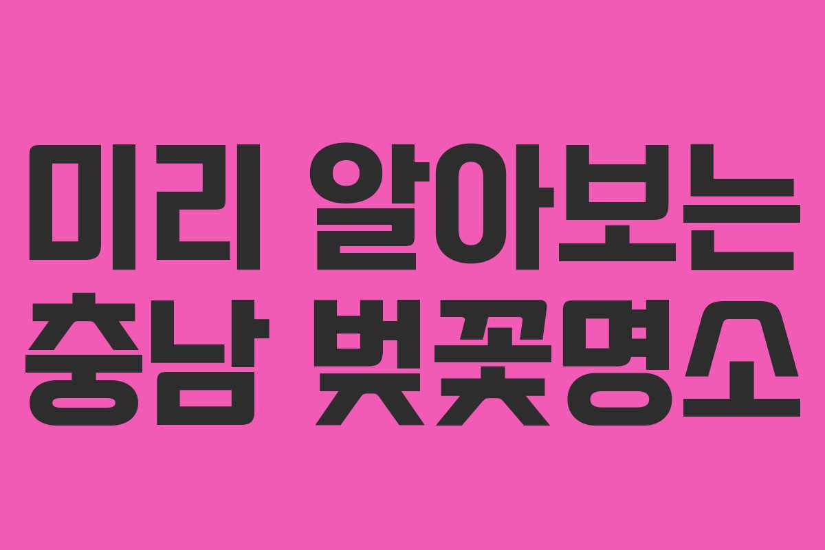 미리 알아보는 충남 벚꽃명소