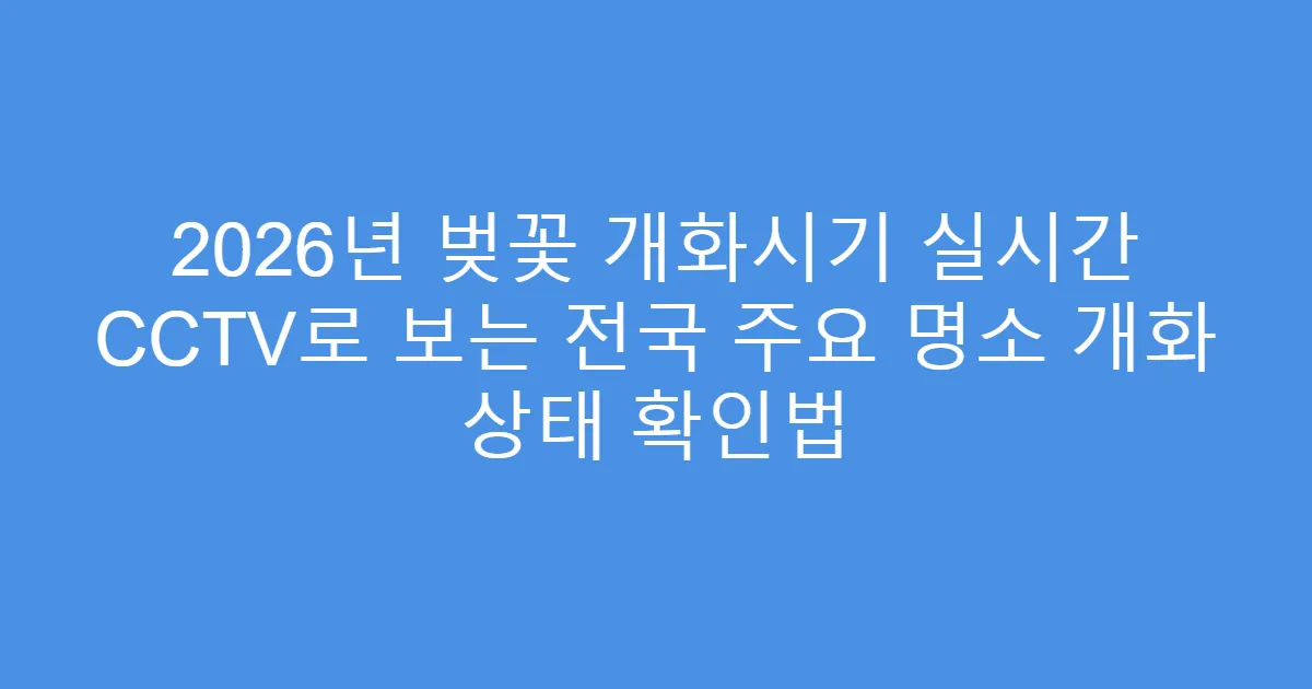 2026년 벚꽃 개화시기 실시간 CCTV로 보는 전국 주요 명소 개화 상태 확인법