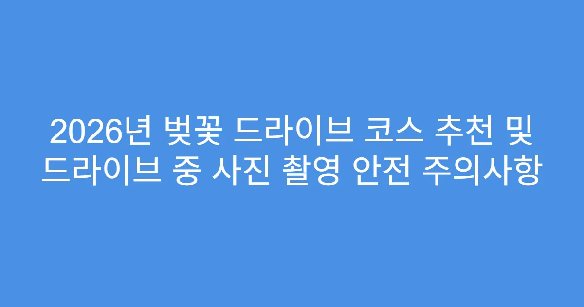 2026년 벚꽃 드라이브 코스 추천 및 드라이브 중 사진 촬영 안전 주의사항