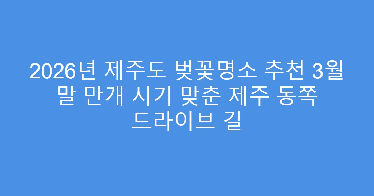 2026년 제주도 벚꽃명소 추천 3월 말 만개 시기 맞춘 제주 동쪽 드라이브 길