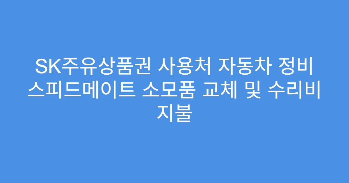 SK주유상품권 사용처 자동차 정비 스피드메이트 소모품 교체 및 수리비 지불