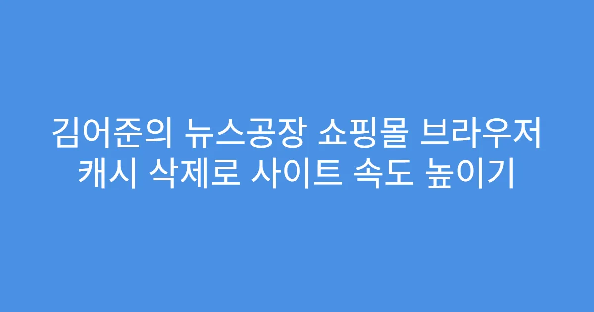 김어준의 뉴스공장 쇼핑몰 브라우저 캐시 삭제로 사이트 속도 높이기