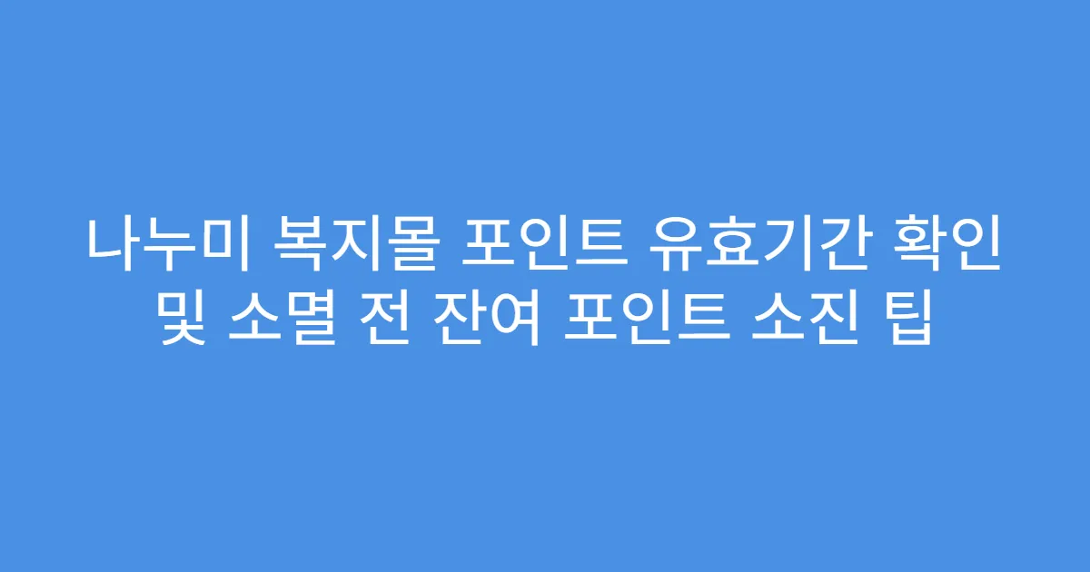 나누미 복지몰 포인트 유효기간 확인 및 소멸 전 잔여 포인트 소진 팁