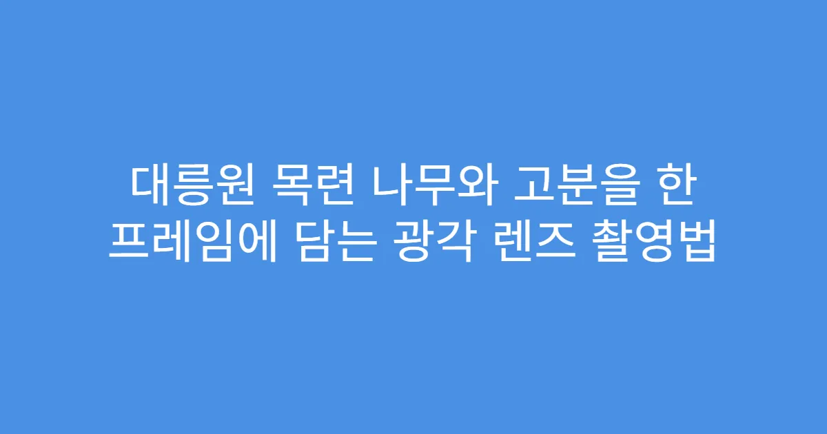 대릉원 목련 나무와 고분을 한 프레임에 담는 광각 렌즈 촬영법