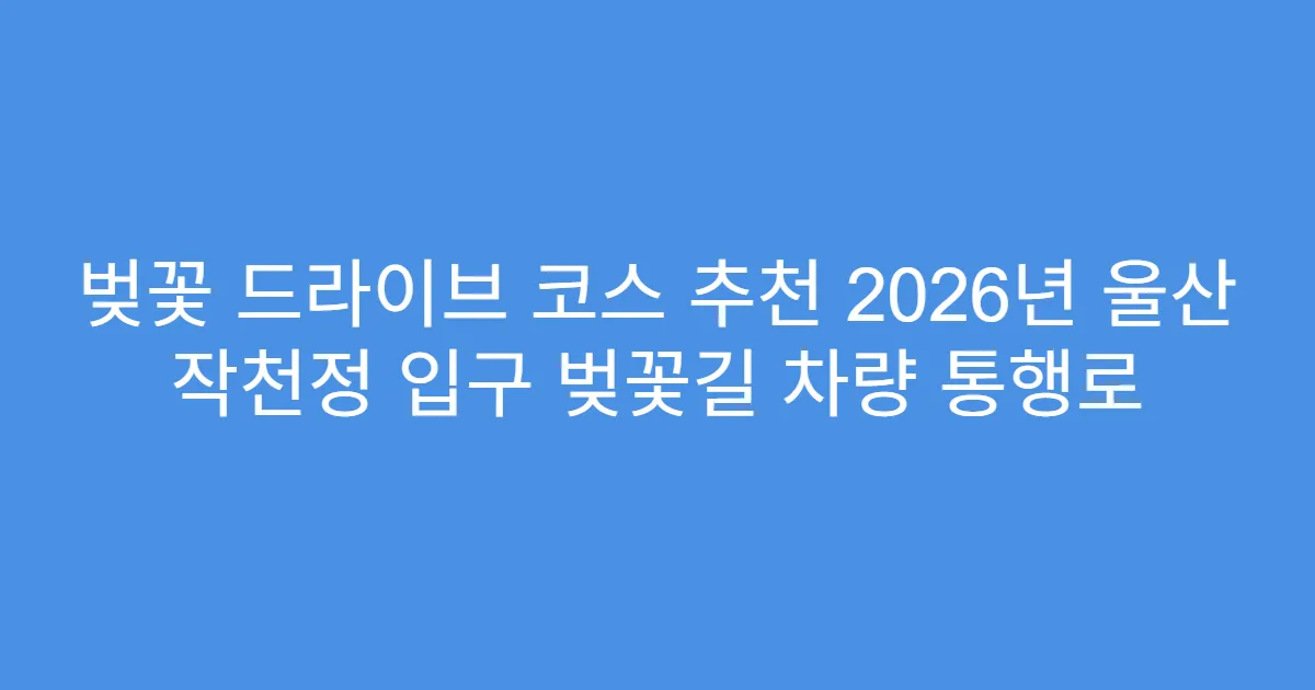 벚꽃 드라이브 코스 추천 2026년 울산 작천정 입구 벚꽃길 차량 통행로