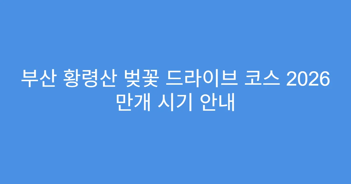 부산 황령산 벚꽃 드라이브 코스 2026 만개 시기 안내
