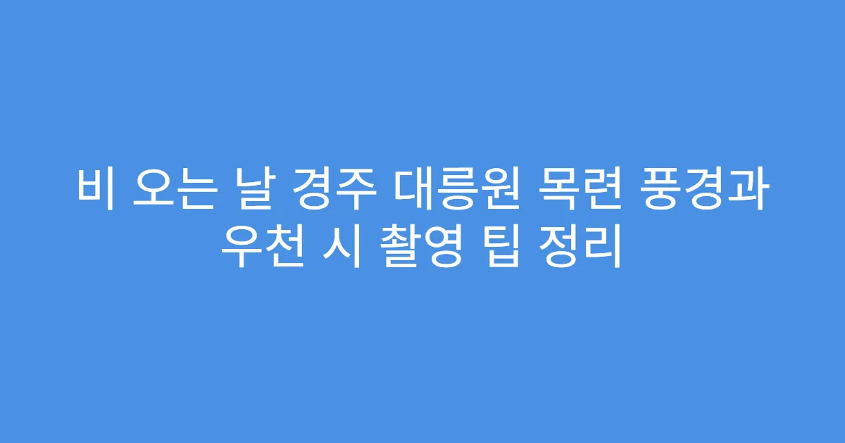 비 오는 날 경주 대릉원 목련 풍경과 우천 시 촬영 팁 정리