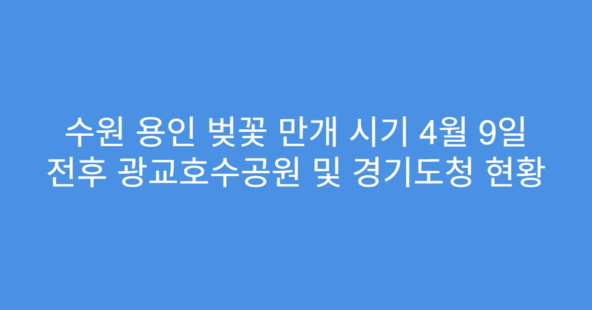 수원 용인 벚꽃 만개 시기 4월 9일 전후 광교호수공원 및 경기도청 현황