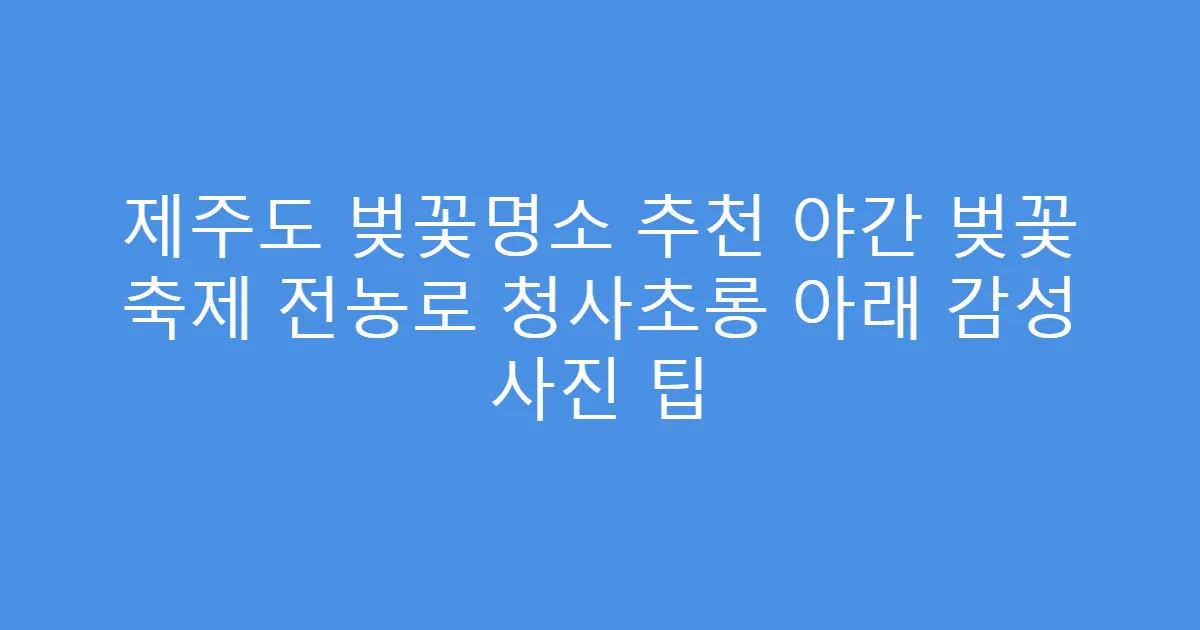 제주도 벚꽃명소 추천 야간 벚꽃 축제 전농로 청사초롱 아래 감성 사진 팁