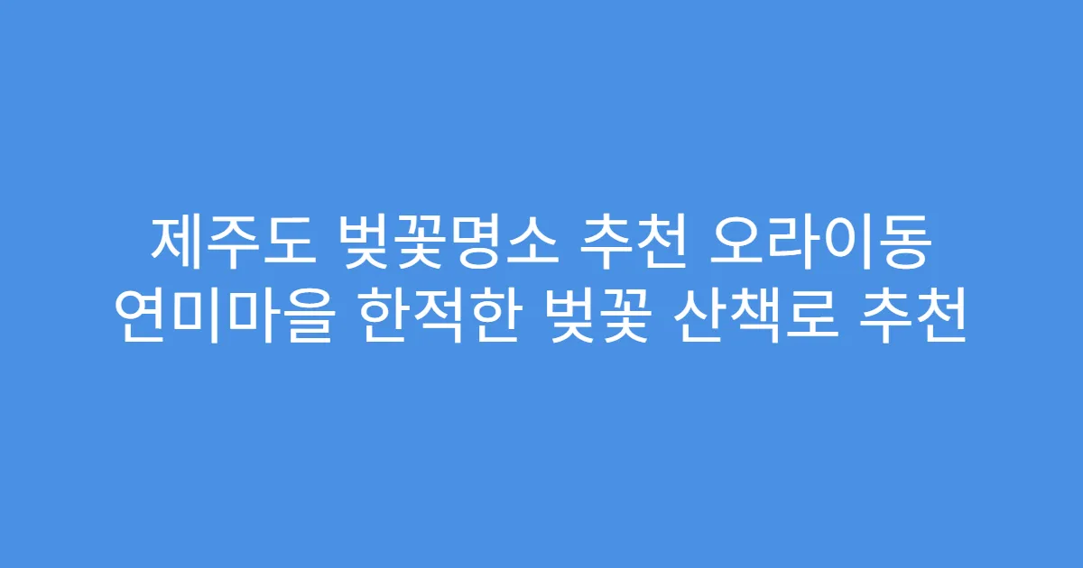 제주도 벚꽃명소 추천 오라이동 연미마을 한적한 벚꽃 산책로 추천