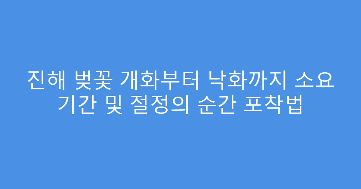 진해 벚꽃 개화부터 낙화까지 소요 기간 및 절정의 순간 포착법