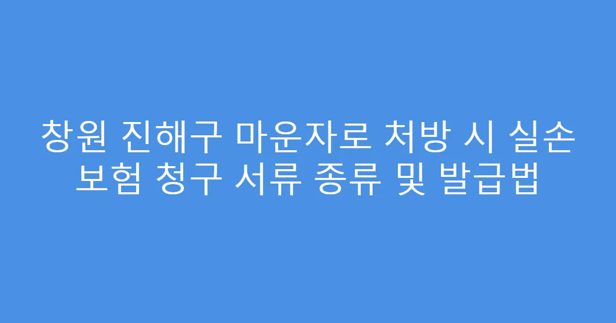 창원 진해구 마운자로 처방 시 실손 보험 청구 서류 종류 및 발급법