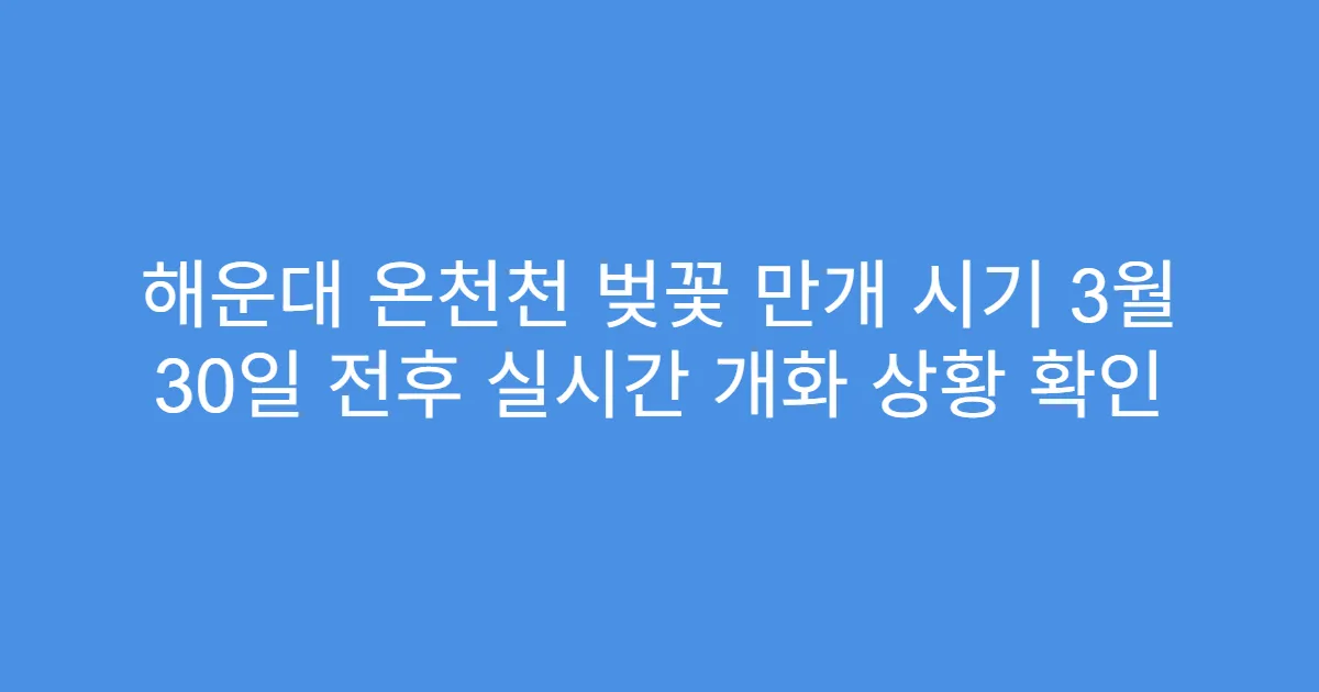 해운대 온천천 벚꽃 만개 시기 3월 30일 전후 실시간 개화 상황 확인