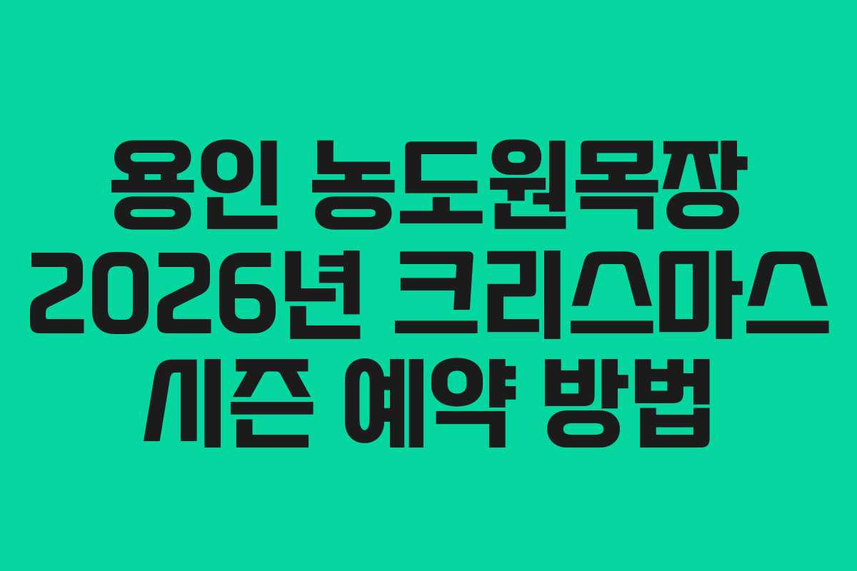 용인 농도원목장 2026년 크리스마스 시즌 예약 방법