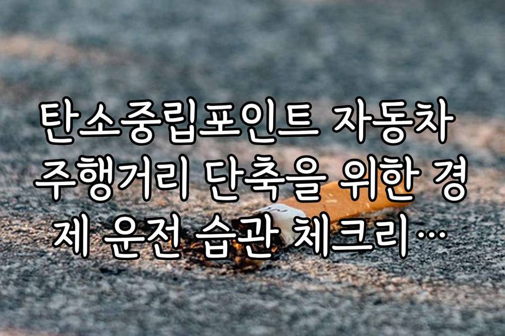 탄소중립포인트 자동차 주행거리 단축을 위한 경제 운전 습관 체크리스트