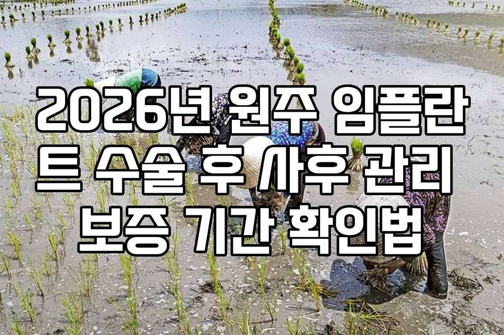 2026년 원주 임플란트 수술 후 사후 관리 보증 기간 확인법