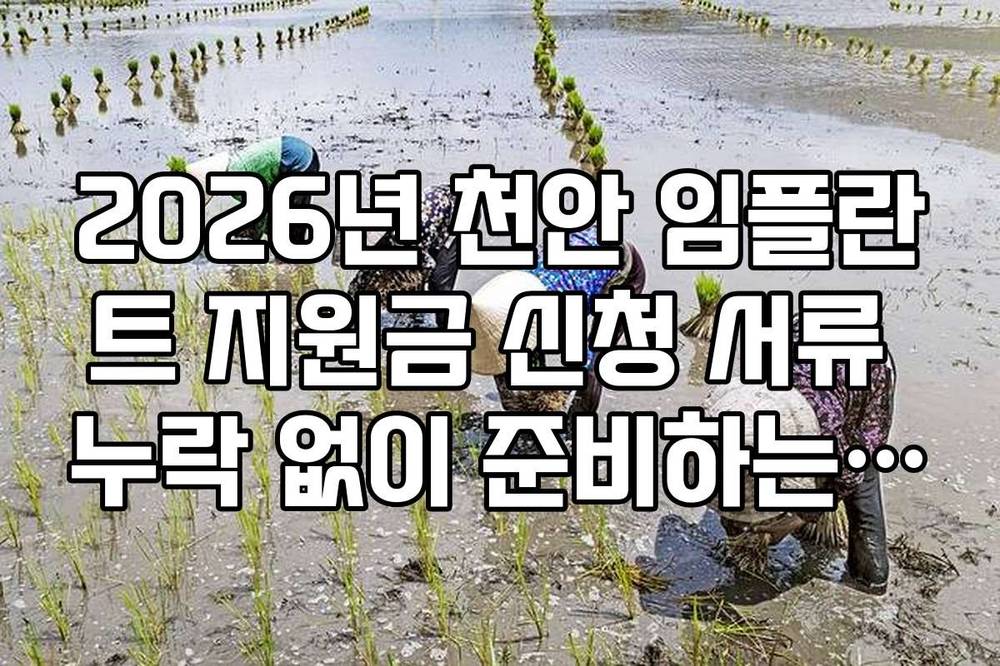2026년 천안 임플란트 지원금 신청 서류 누락 없이 준비하는 방법