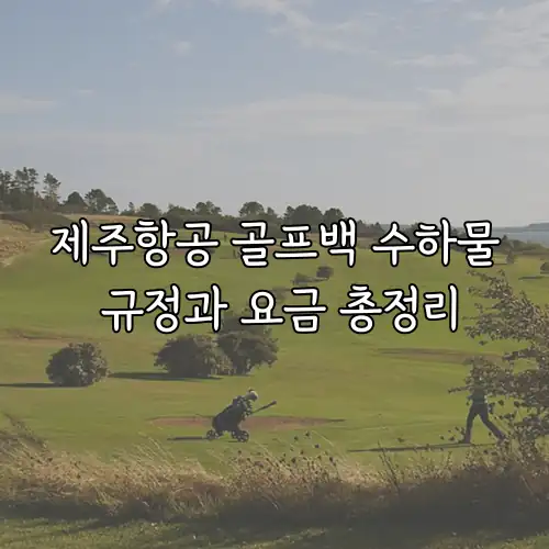 제주항공 골프백 수하물 규정과 요금 총정리