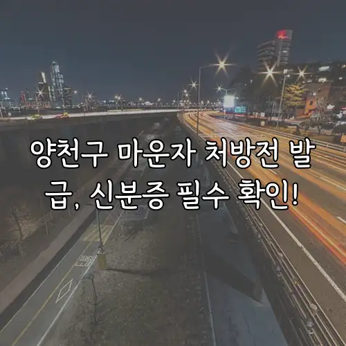 양천구 마운자 처방전 발급, 신분증 필수 확인!