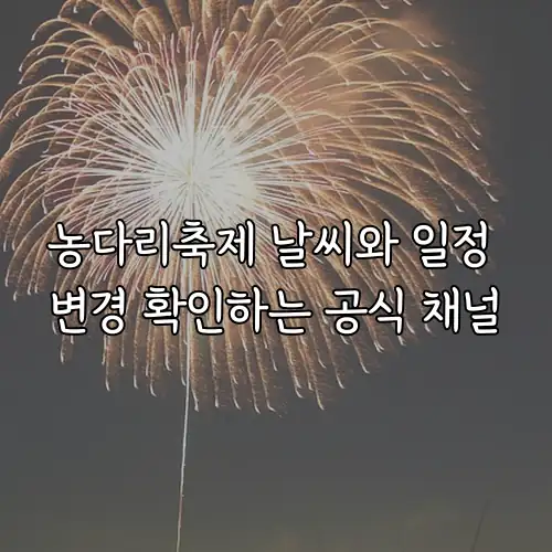 농다리축제 날씨와 일정 변경 확인하는 공식 채널