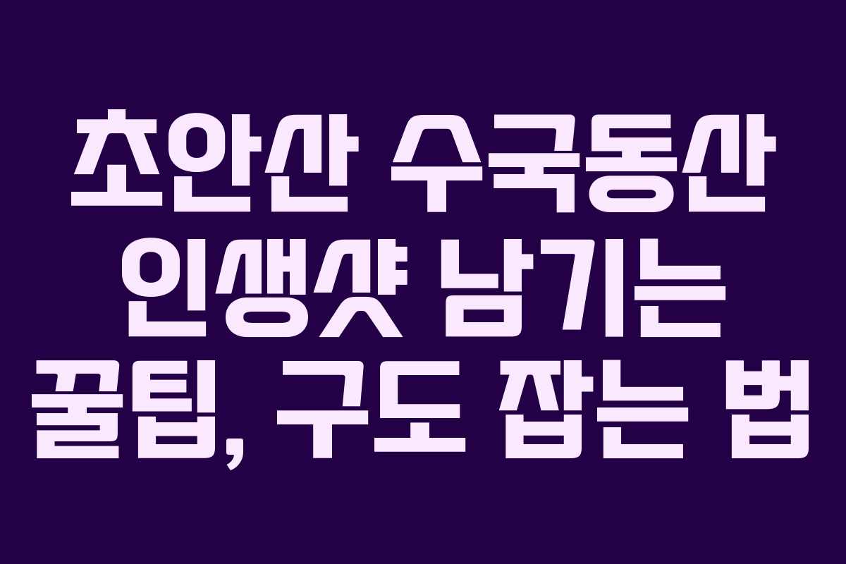 초안산-수국동산-인생샷-남기는-꿀팁,-구도-잡는-법